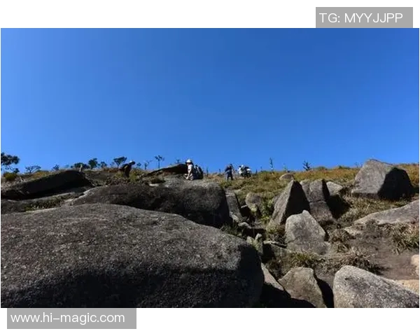 一步一步攀登高峰陈若琳的奥运冠军心态与奋斗精神的深度解析