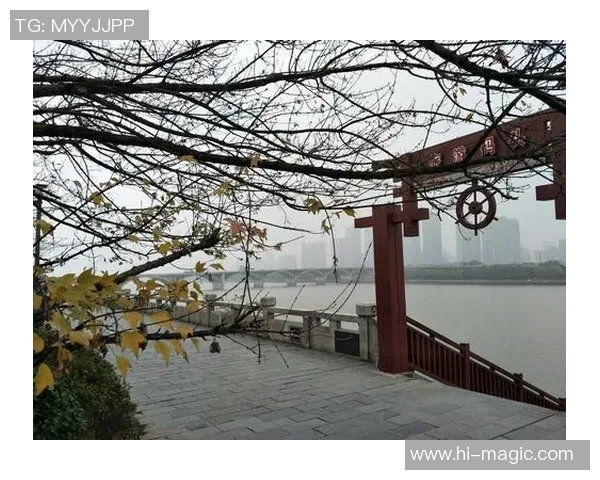 乌克兰足球明星在战火中陨落的悲壮故事与永恒记忆